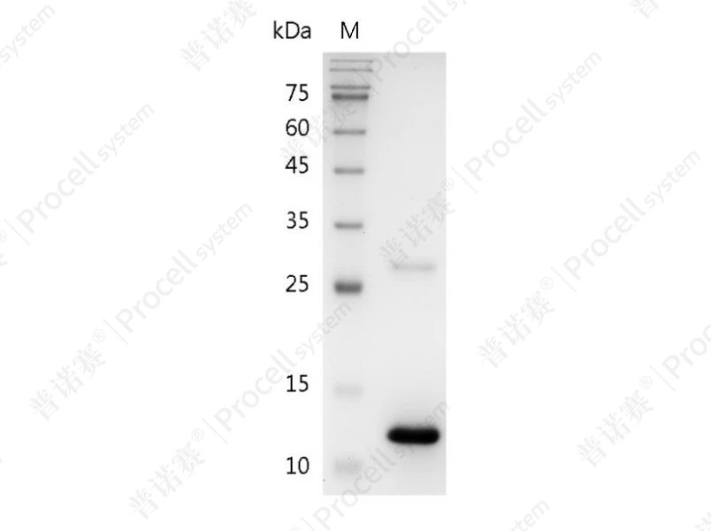 https://789.bio/ec/m9xS44