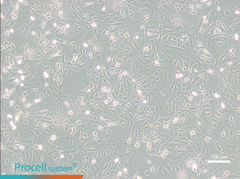 KTC-1KTC-1 - 3