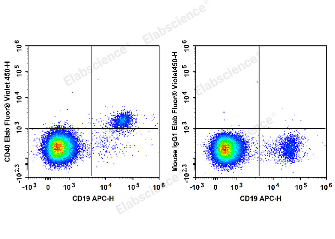 Human peripheral blood lymphocytes are stained with APC Anti-Human CD19 Antibody and Elab Fluor® Violet 450 Anti-Human CD40 Antibody (Left). Lymphocytes are stained with APC Anti-Human CD19 Antibody and Elab Fluor® Violet 450 Mouse IgG1, κ Isotype Control (Right).