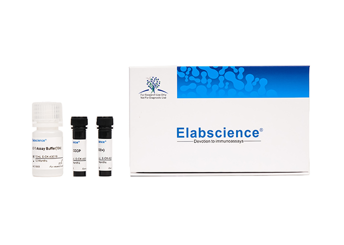 Mitochondrial Membrane Potential Assay Kit (with JC-1)