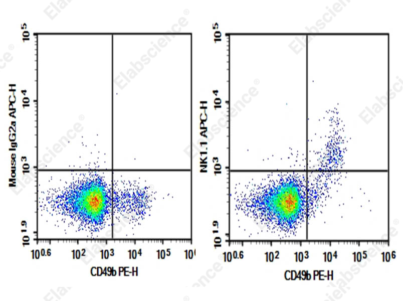 Purified Anti-Mouse CD161/NK1.1 Antibody[PK136] - 1