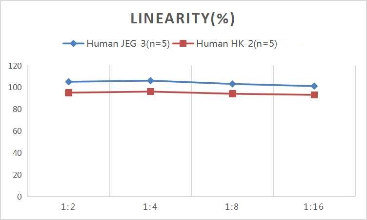CellaQuant™ Human KIM-1 (Kidney Injury Molecule 1) ELISA Kit - small - 4
