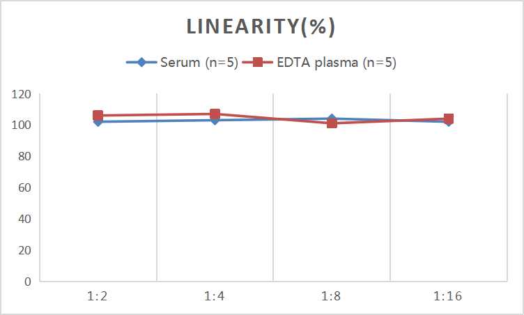 QuicKey Pro Human HTRA1 (HtrA Serine Peptidase 1) ELISA Kit - 2