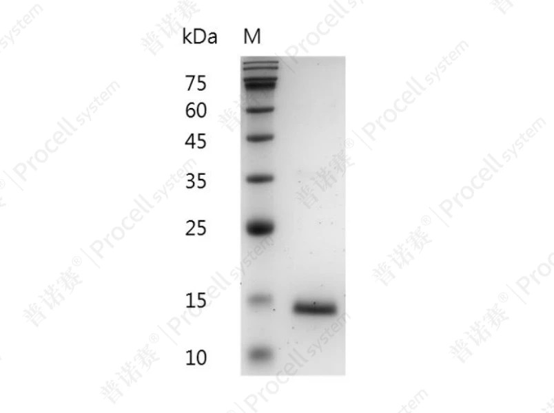 https://789.bio/ec/mH84x5