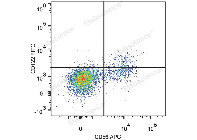 Human peripheral blood lymphocytes are stained with FITC Anti-Human CD122/IL-2RB Antibody and APC Anti-Human CD56 Antibody.