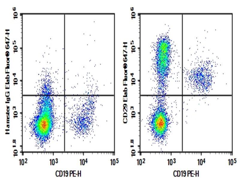 AF/LE Purified Anti-Human/Mouse CD44 Antibody[IM7]-产品推荐-6