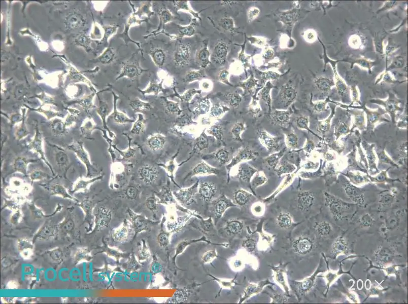 HCC1588 Cell Complete Medium - 5