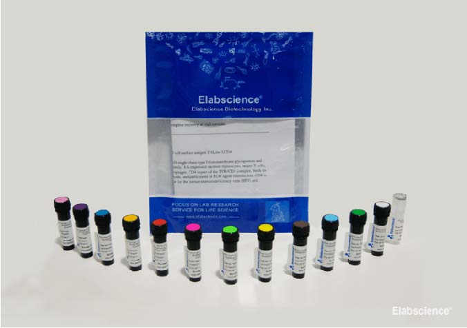 FITC Anti-Human CD45 Antibody[BC8] - 2