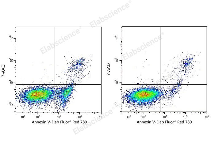 Annexin V-Elab Fluor® Red 780/7-AAD Apoptosis Kit-1