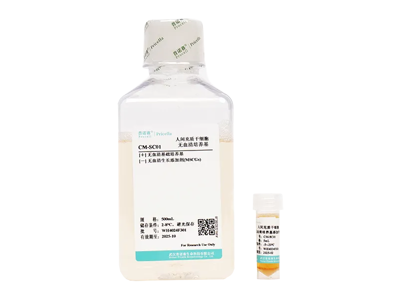 https://789.bio/ec/mPKZ5C
