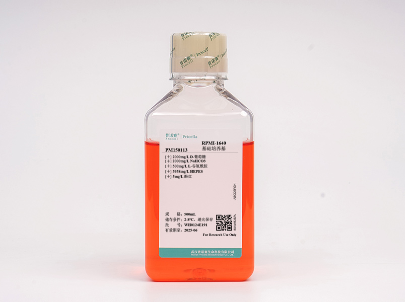 https://789.bio/ec/mPdH0K