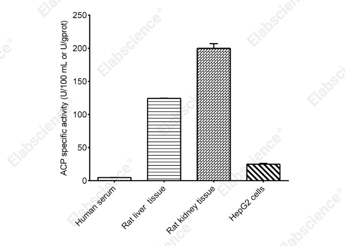 Acid Phosphatase (ACP) Activity Assay Kit - 2