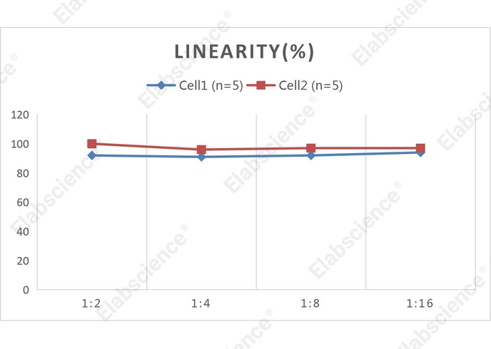 CellaQuant™ Human IL-33 (Interleukin 33) ELISA Kit - 2