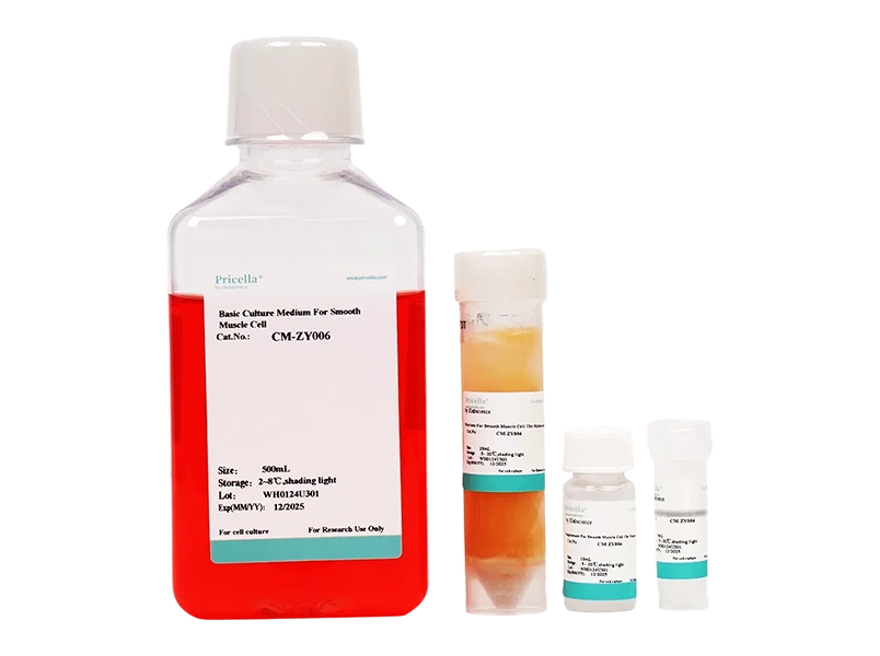 Smooth Muscle Cell Medium (SMCM)-searchlist-1