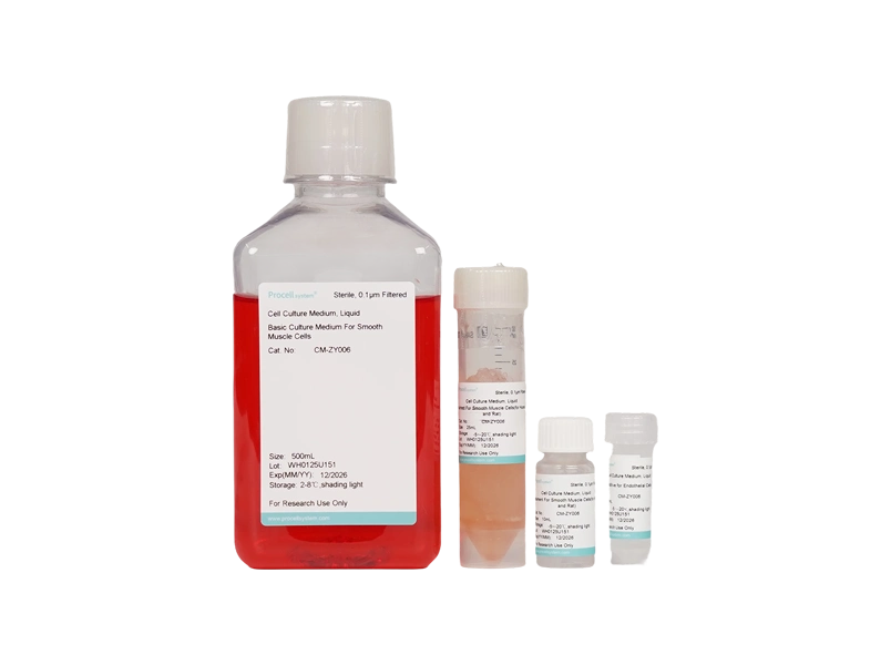 Smooth Muscle Cell Medium (SMCM)