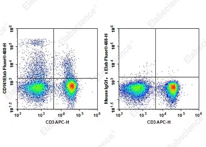 Elab Fluor<sup>®</sup>488 Anti-Rat CD161 Antibody[QA19A15] - 1