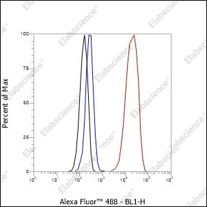 Recombinant FOXA1 Monoclonal Antibody - 3