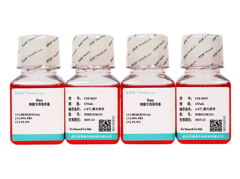 https://789.bio/ec/ma1Fp9Kf