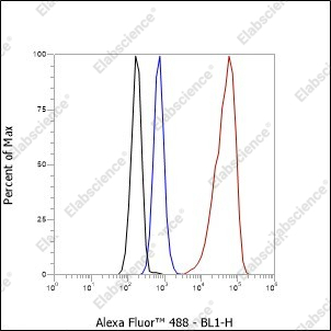 Recombinant STIP1/STI1 Monoclonal Antibody - 6