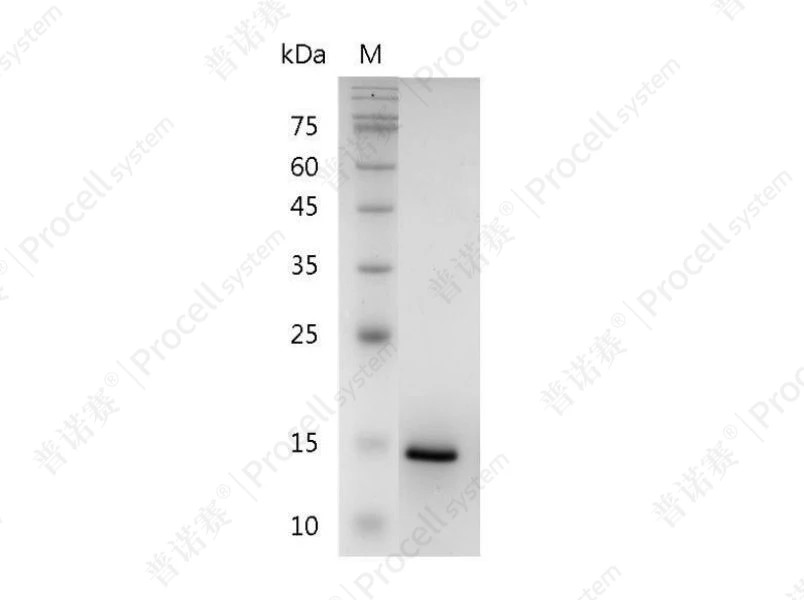 https://789.bio/ec/me1dSO