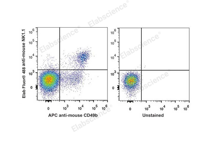 Elab Fluor® 488 Anti-Mouse CD161/NK1.1 Antibody[PK136]-1