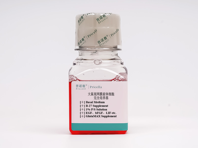 https://789.bio/ec/mePh50