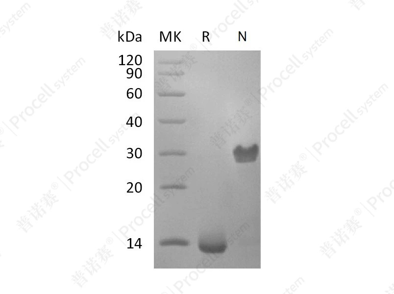 https://789.bio/ec/miHxSK