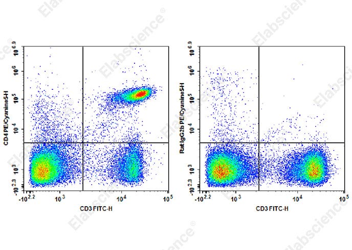 PE/Cyanine5 Anti-Mouse CD4 Antibody[RM4-4]-1