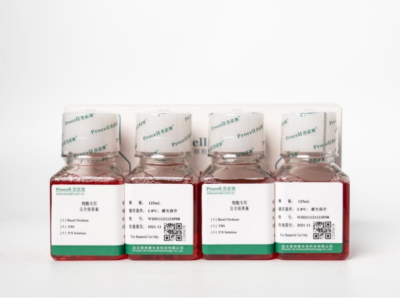 https://789.bio/ec/miq1p9