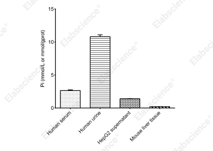 Phosphorus (Pi) Colorimetric Assay Kit (Phospho Molybdate Method) - 2