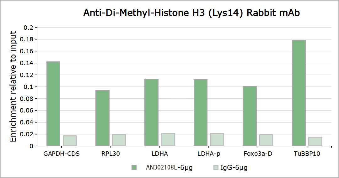 Recombinant Histone H3 (Di Methyl Lys14) Monoclonal Antibody - small - 6