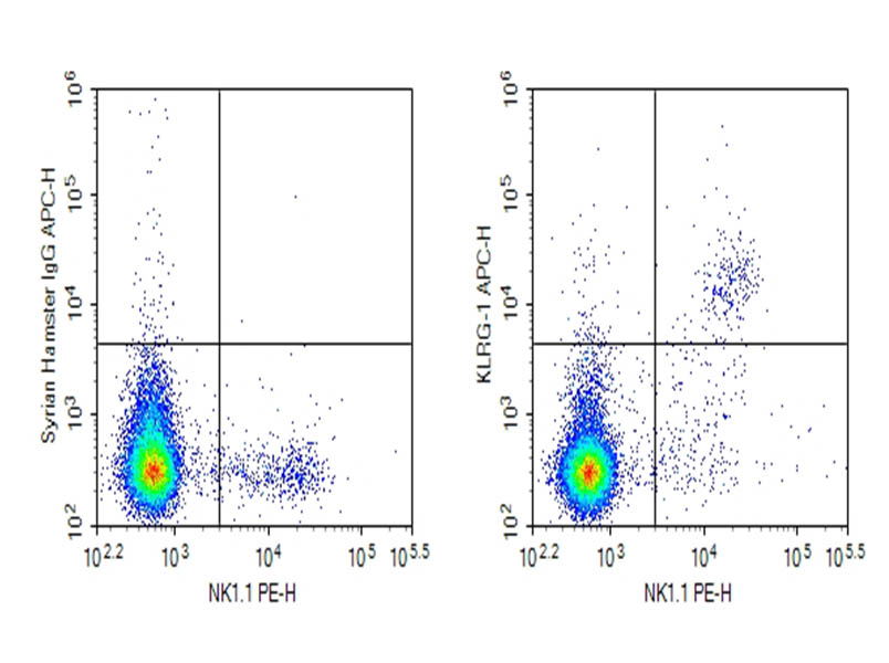 Purified Anti-Human/Mouse KLRG-1 Antibody[2F1], Functional Grade - 1