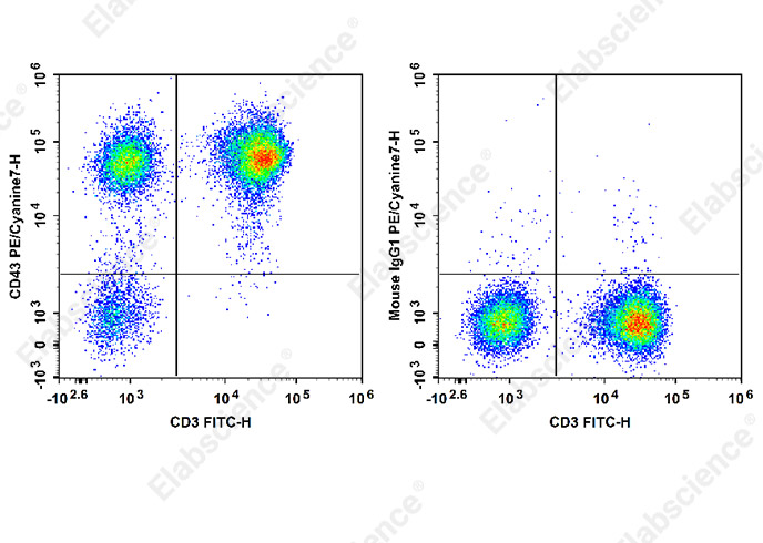 PE/Cyanine7 Anti-Human CD43 Antibody[HI161]-1