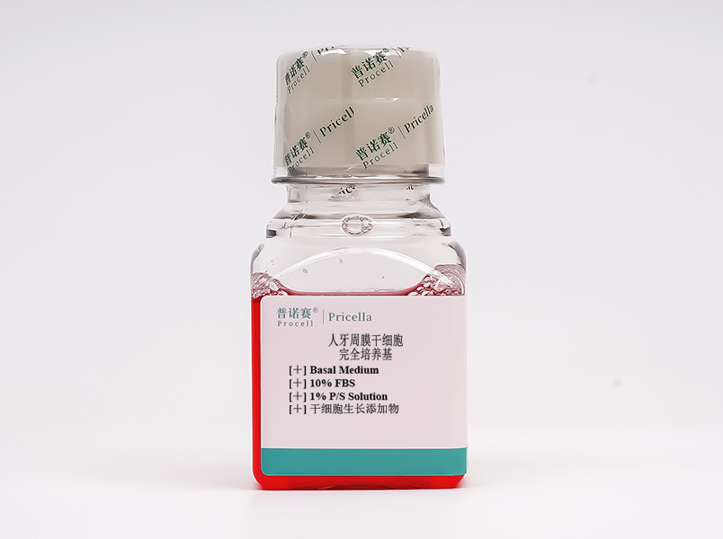 https://789.bio/ec/mqyPtS