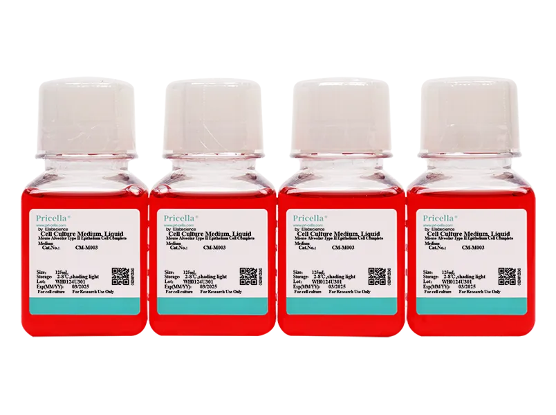 Mouse Alveolar Type II Epithelium Cell Complete Medium - small - 2