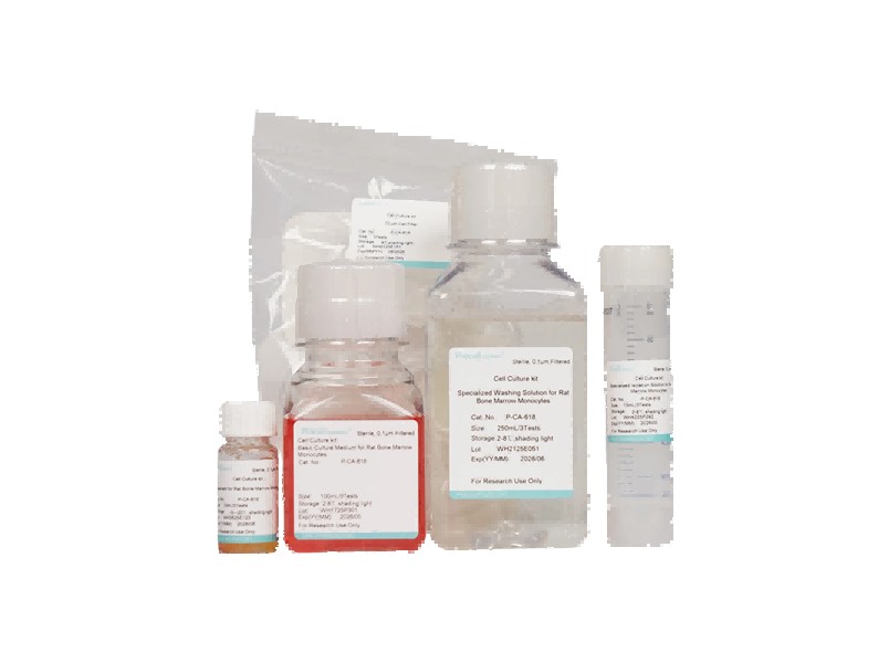 Rat Bone Marrow Monocyte Isolation and Culture Kit