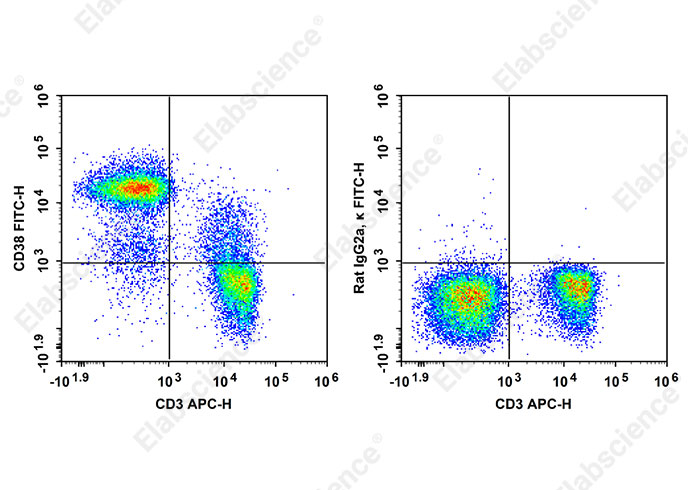 FITC Anti-Mouse CD38 Antibody[90]-searchlist-1