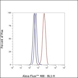 Recombinant GOSR1/GS28 Monoclonal Antibody - small - 5