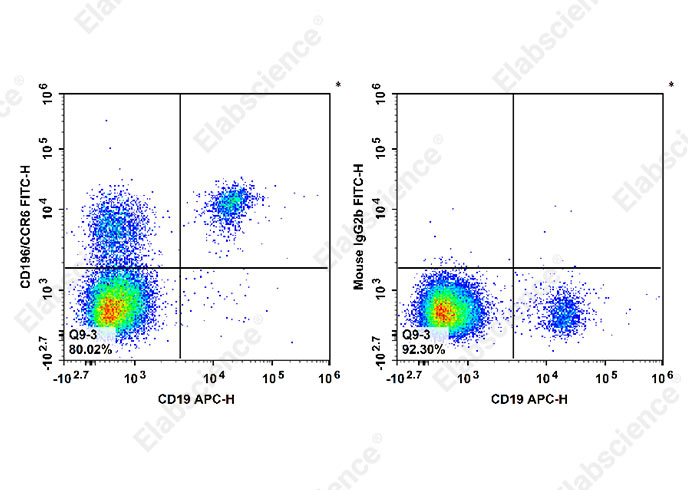 FITC Rat IgG2a, λ Isotype Control[B39-4]-产品推荐-1