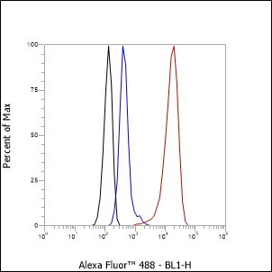 Recombinant EPHB4 Monoclonal Antibody - small - 4