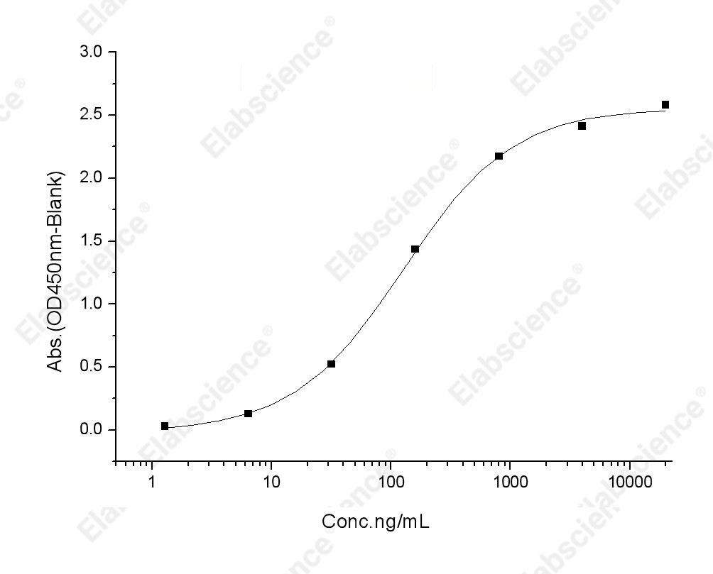 Recombinant Human IL1R2/CD121b Protein - 2