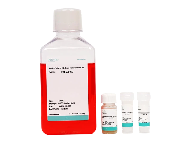 Neuronal Medium (NM)-searchlist-1
