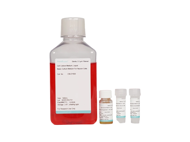 Neuronal Medium (NM)