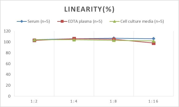 High Sensitivity Mouse TNF-α(Tumor Necrosis Factor Alpha) ELISA Kit-1