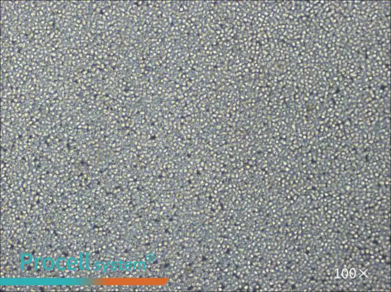 NCI-H929 Cell Complete Medium - 2