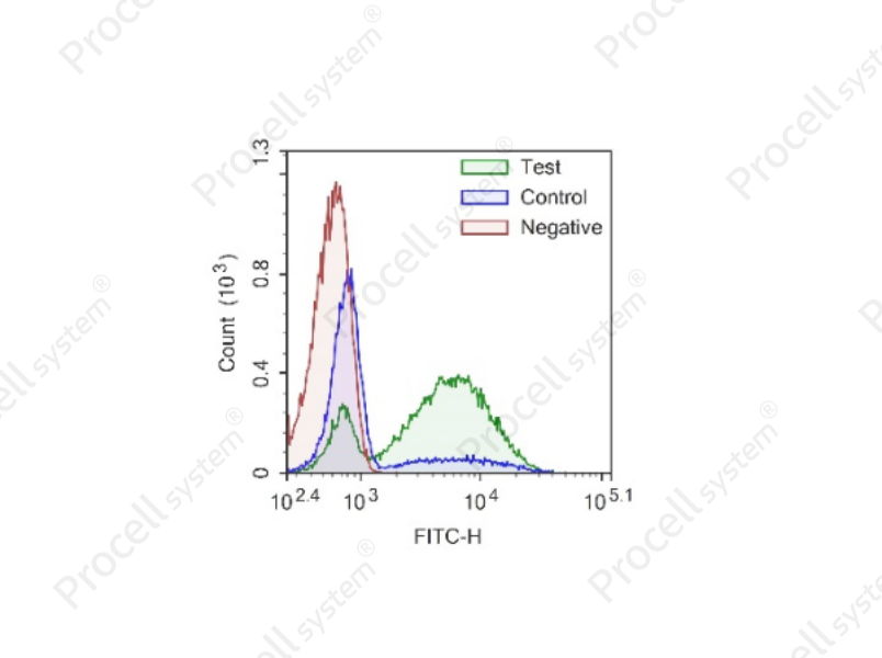 One-step TUNEL Flow Cytometry Apoptosis Kit (Green, FITC)One-step TUNEL Flow Cytometry Apoptosis Kit (Green, FITC) - 1