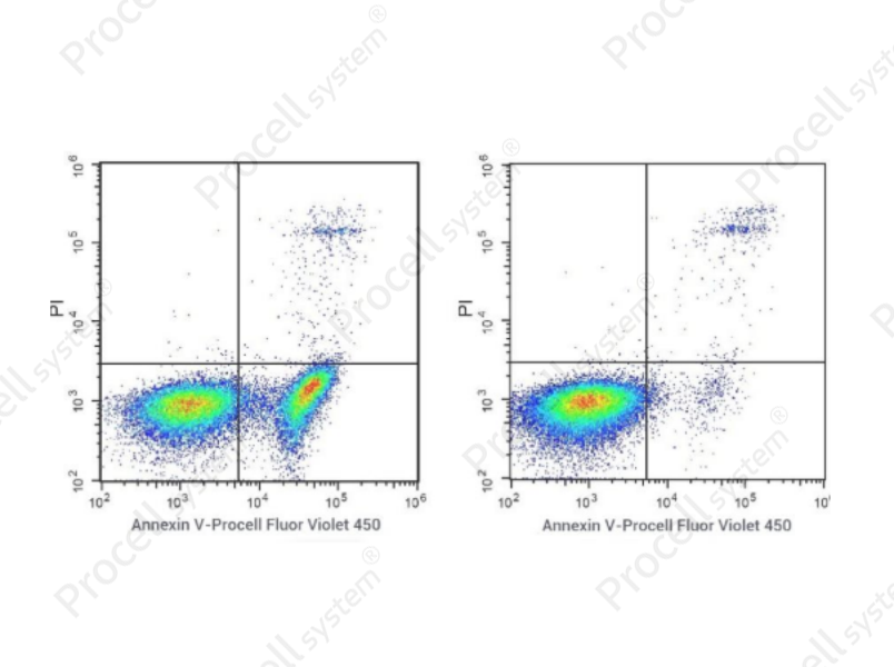 Annexin V-Procell Fluor Violet 450/PI Apoptosis Kit