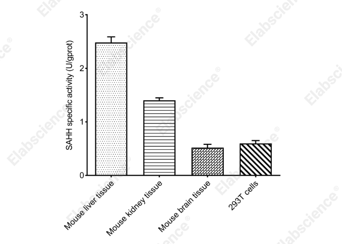 S-Adenosyl-Homocysteine Hydrolase (SAHH) Activity Colorimetric Assay Kit - 2