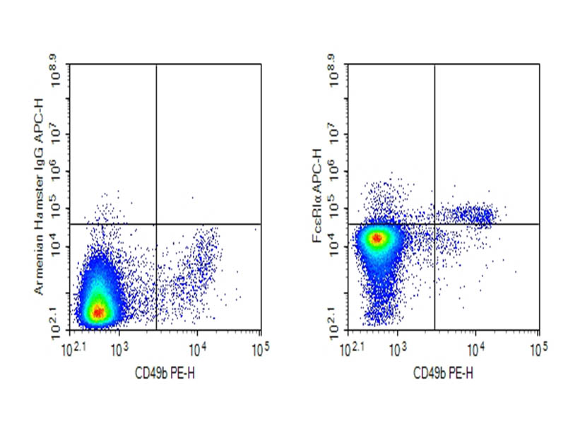 AF/LE Purified Anti-Mouse FcεRIα Antibody[MAR-1] - 1