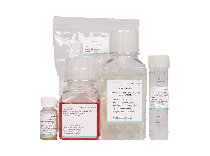 Mouse Bone Marrow-Derived Macrophage Isolation and Culture Kit - 1